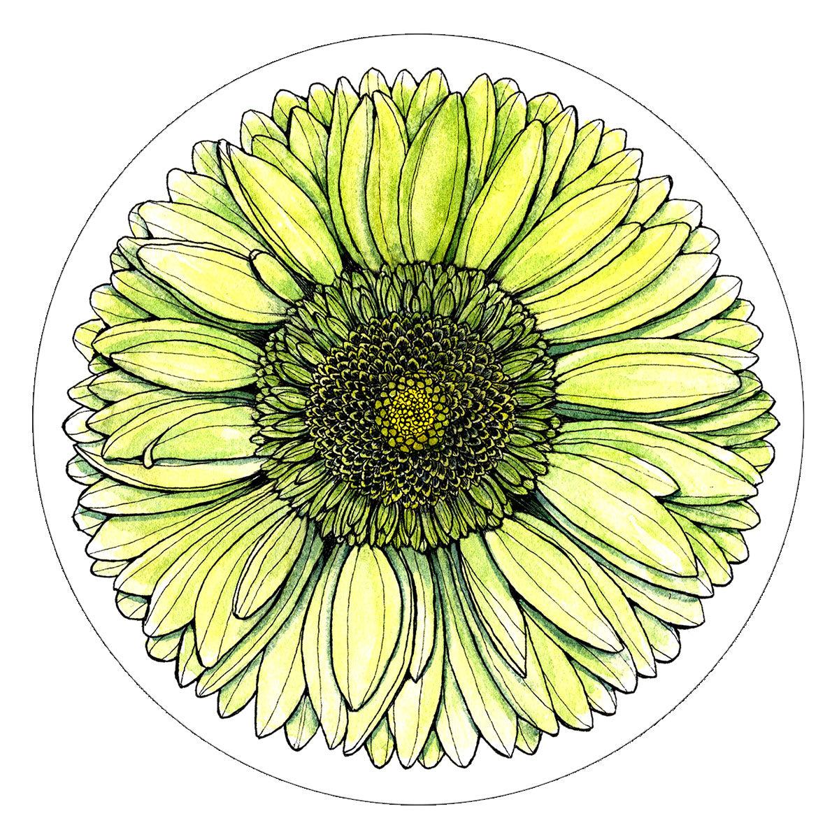 Vinyl Stickers/ Decals - Sacred Flower - 32 Flowers Available