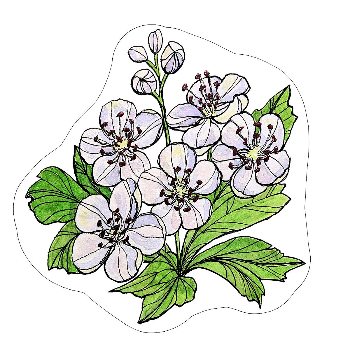 Vinyl Stickers/ Decals - Sacred Flower - 32 Flowers Available